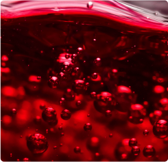 赤ワイン酵母エキス配合イメージ