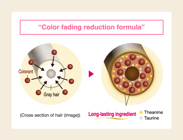Color fading reduction formula Compared to conventional products of Hoyu