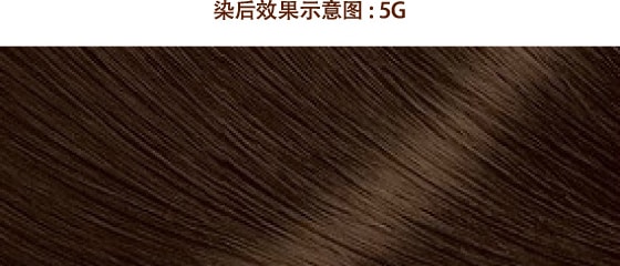 5G