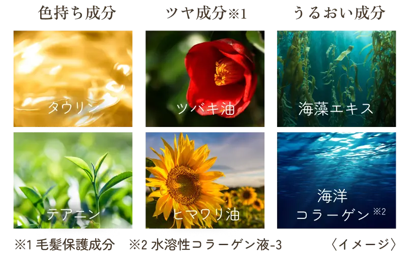 タウリン ツバキ油 海藻エキス テアニン ヒマワリ油 海洋コラーゲン