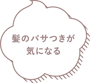 髪のパサつきが気になる