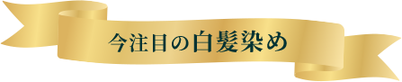 今注目の白髪染め