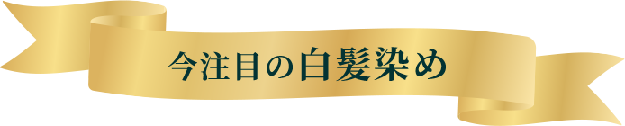 今注目の白髪染め